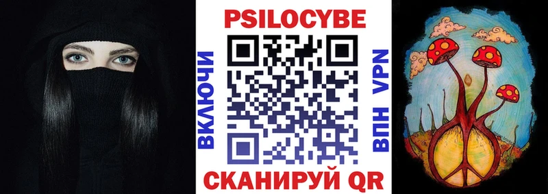 Галлюциногенные грибы Psilocybine cubensis  сколько стоит  Каргат 